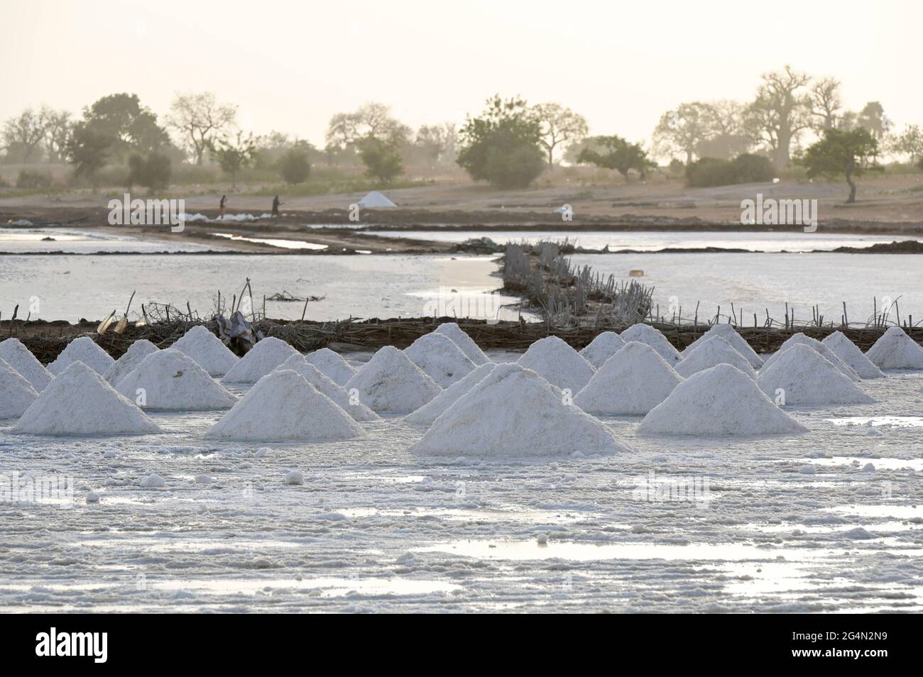 SENEGAL, Kaolack, Salzwerke in Salzwasserbecken, Meersalzbecken im Saloum-Delta / Salzgewinnung in den Salinen der Lagune Saloum Stockfoto