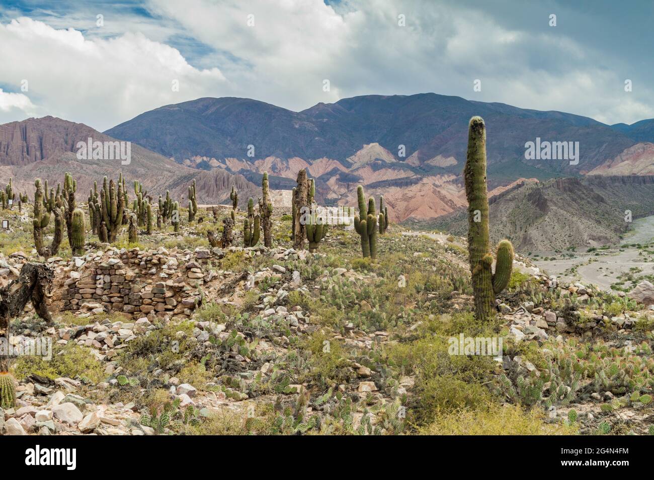 Ruinen der präkolumbianischen Festung Pucara in der Nähe des Dorfes Tilcara im Tal Quebrada de Humahuaca, Argentinien Stockfoto