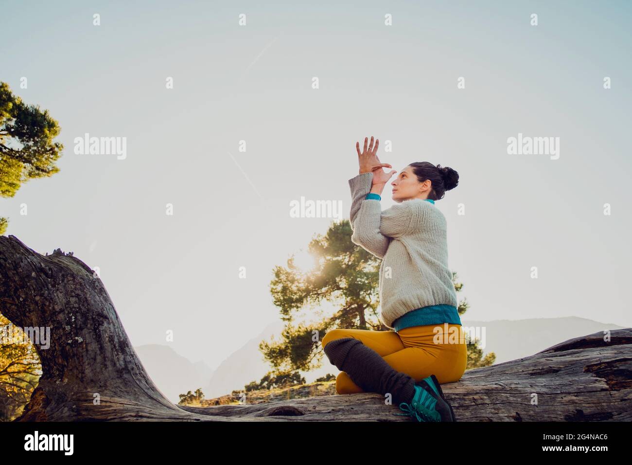 Seitenansicht ein niedriger Winkel der flexiblen Frau, die auf Baumstamm in Gomukhasana sitzt und Yoga macht, während sie Achtsamkeit in den Bergen praktiziert Stockfoto
