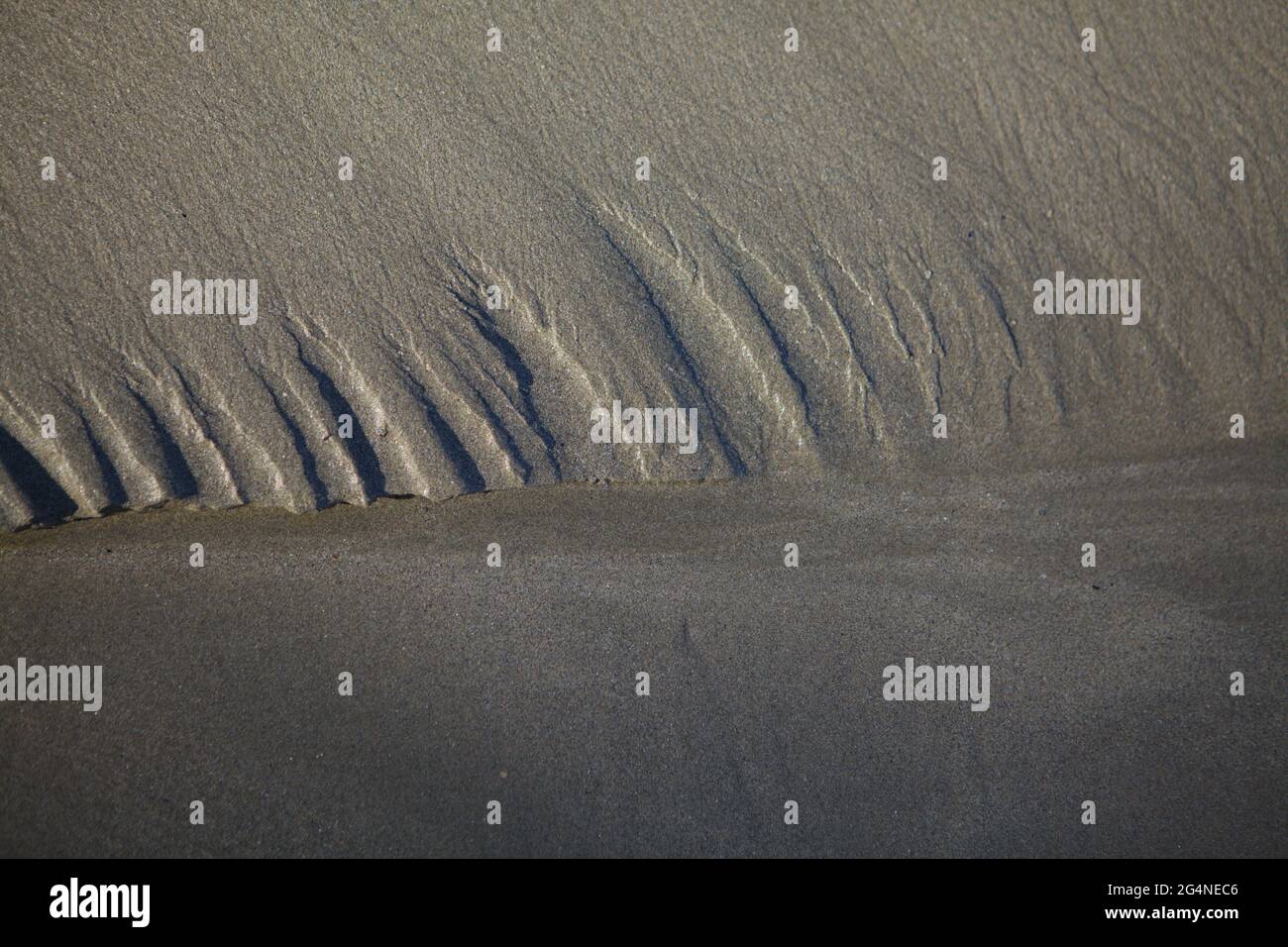 Diskrete, zarte und fragile Strukturen, die von der Flut am Strand von Kador, Crozon-Morgat, Bretagne, Frankreich hinterlassen wurden Stockfoto