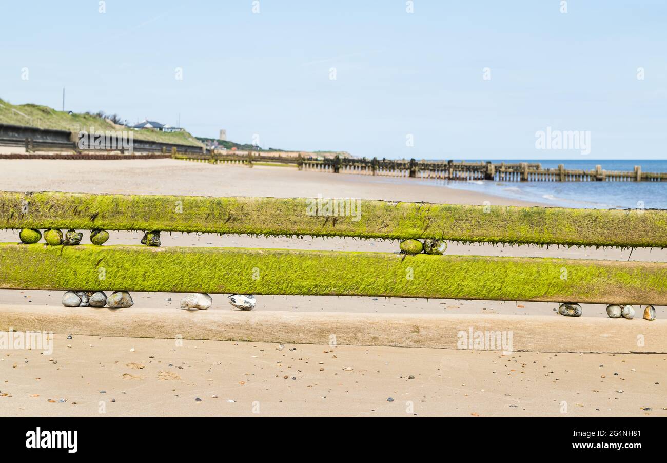 Felsen, die in den hölzernen Groynes am Cart Gap Strand an der North Norfolk Küste gefangen sind. Stockfoto