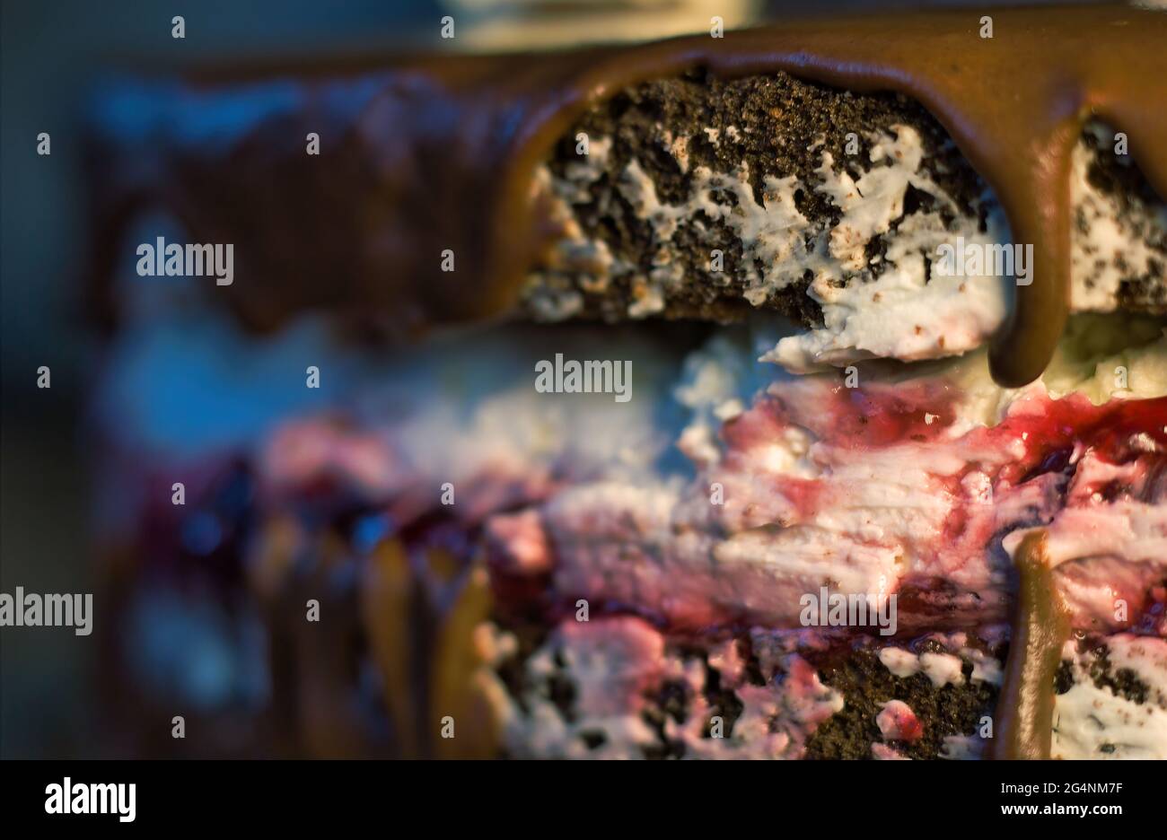 Nahaufnahme Makro-Fotografie von vollen Wuzetka Dessert Schokolade Biskuit mit weißen Sahnetorte aus Polen, Gebäck mit heißer Schokolade oder Creme Stockfoto