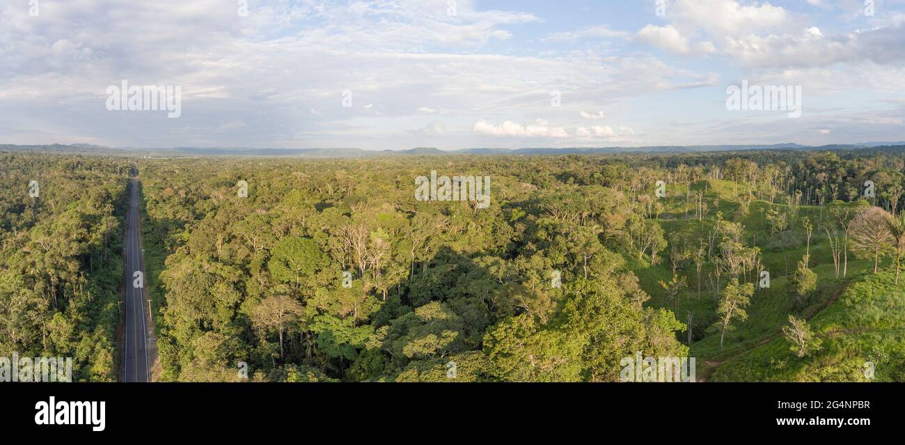Panorama-Luftaufnahme des Amazonas-Regenwaldes in Ecuador. Rechts wurde eine Rinderfarm aus dem Wald herausgeschnitten. Straßen bringen Kolonisierung und Destruti Stockfoto