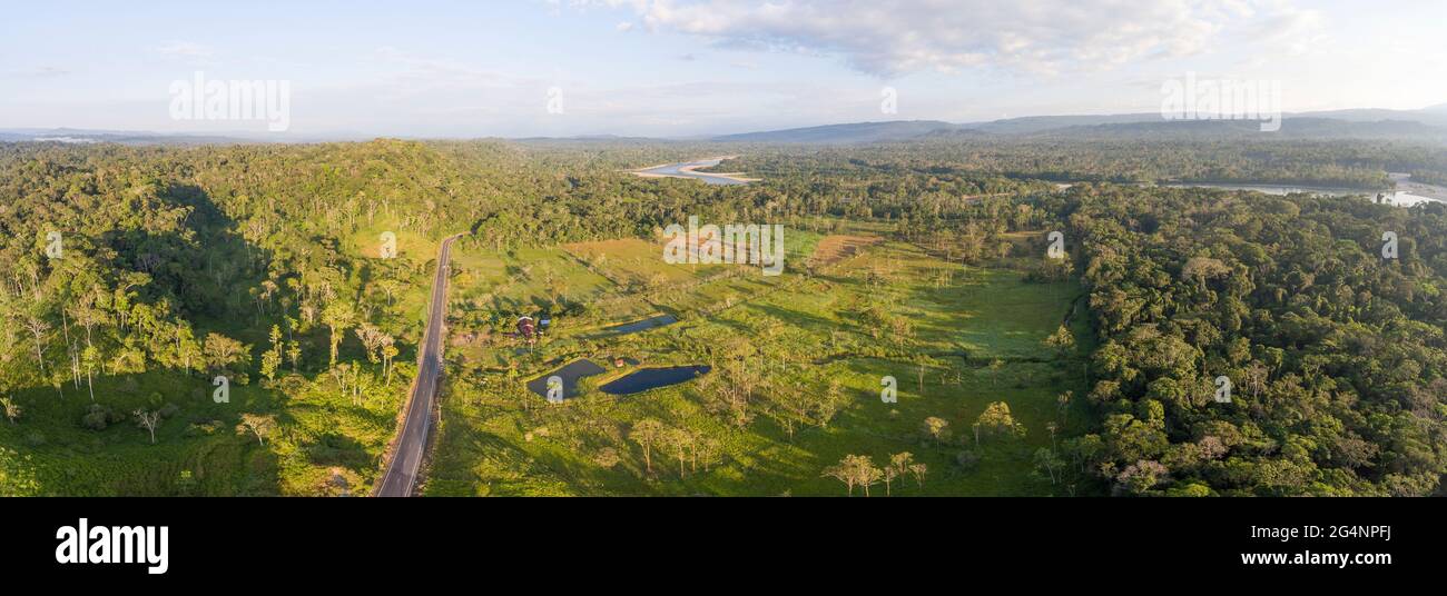 Luftaufnahme einer Rinderfarm, die aus dem Amazonas-Regenwald in Ecuador herausgeschnitten wurde. Mit Fischteichen zur Aufzucht von Tilapia, umgeben von Urwald. Napo Prov Stockfoto