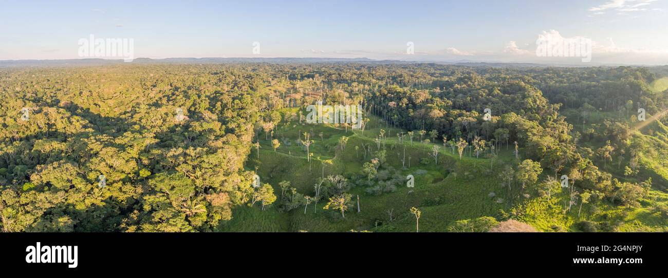Luftpanorama einer Reinigung aus dem Amazonas-Regenwald für Viehzucht. An einem sonnigen Abend, umgeben von unberührtem Primärwaldes. Zoll Stockfoto