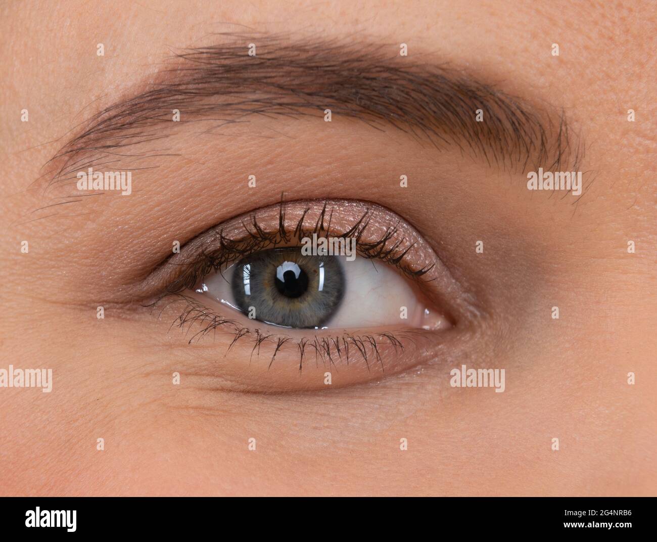 Weibliches Auge. Augen Make-up. Gewölbte Augenbraue und natürlicher Lidschatten. Sehvermögen. Wimpern-Verlängerung. Stockfoto