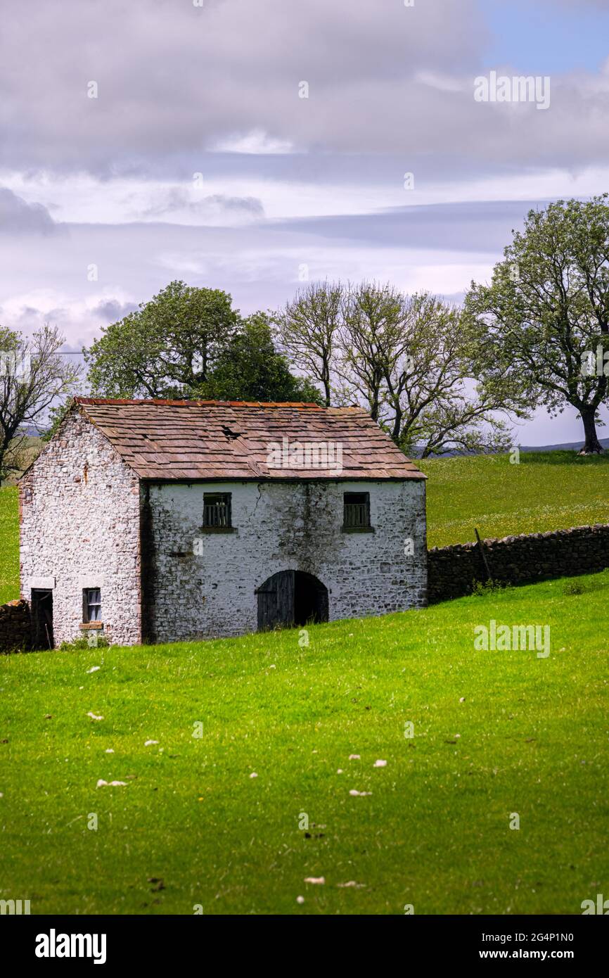 Traditionelle, weiß getünchte Scheune in Upper Teesdale, County Durham, England, im Frühjahr Stockfoto