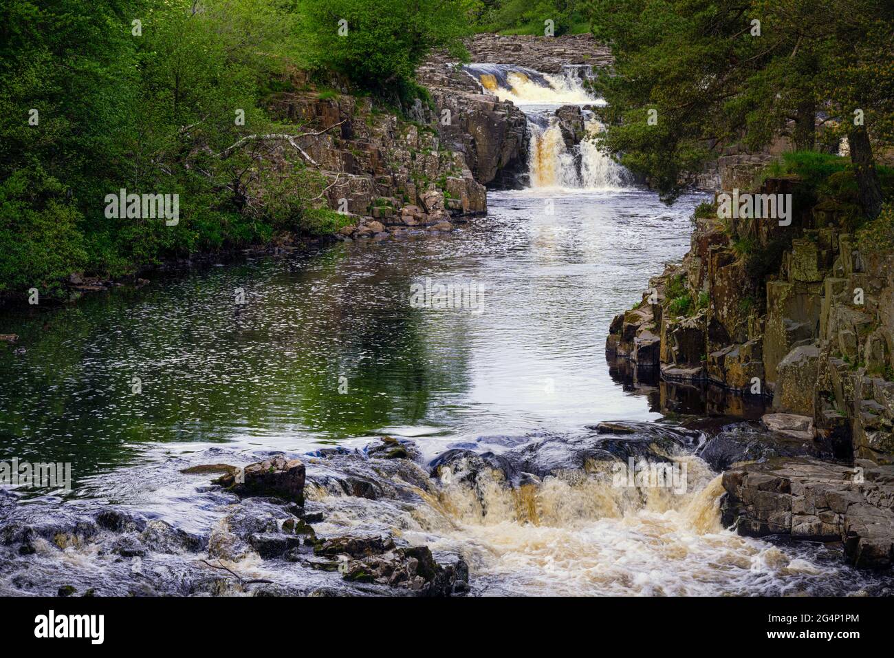 Low Force Wasserfall unter den Bäumen am Fluss Tees in den North Pennines, County Durham, England Stockfoto