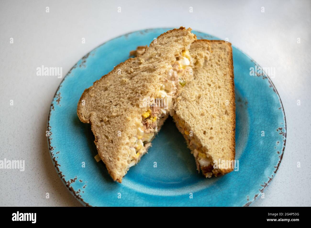 Thunfisch-Sandwich in zwei Hälften geschnitten, serviert auf einem blauen Teller. Stockfoto