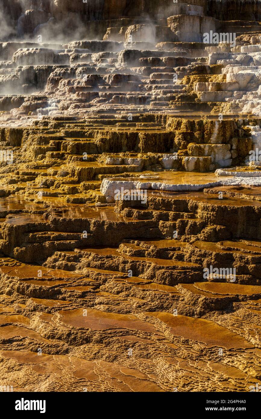 Mound Terrace im Mammoth Hot Springs Yellowstone National Park, Wyoming Stockfoto