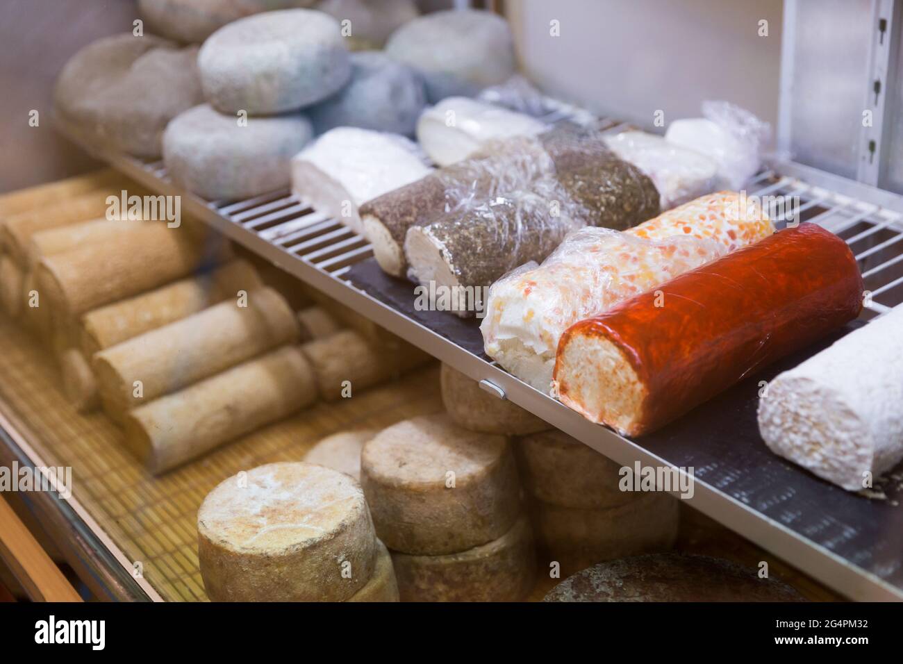 Köstlicher Ziegenkäse auf der Supermarktvitrine Stockfoto