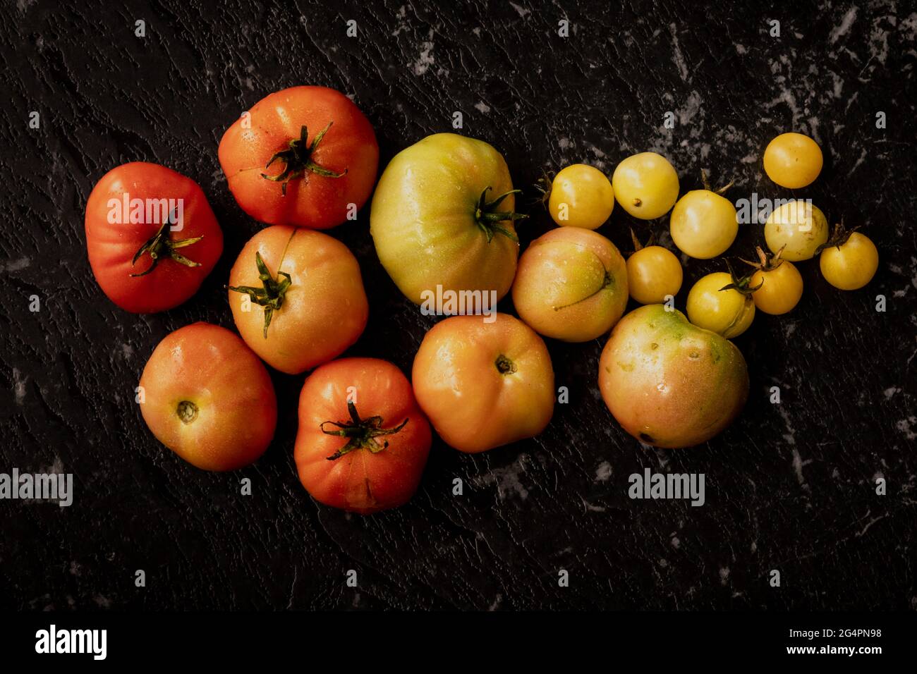 Biologisch angebaute Tomaten in verschiedenen Rottönen, Orangen und Gelb, einschließlich Kirschtomaten Stockfoto