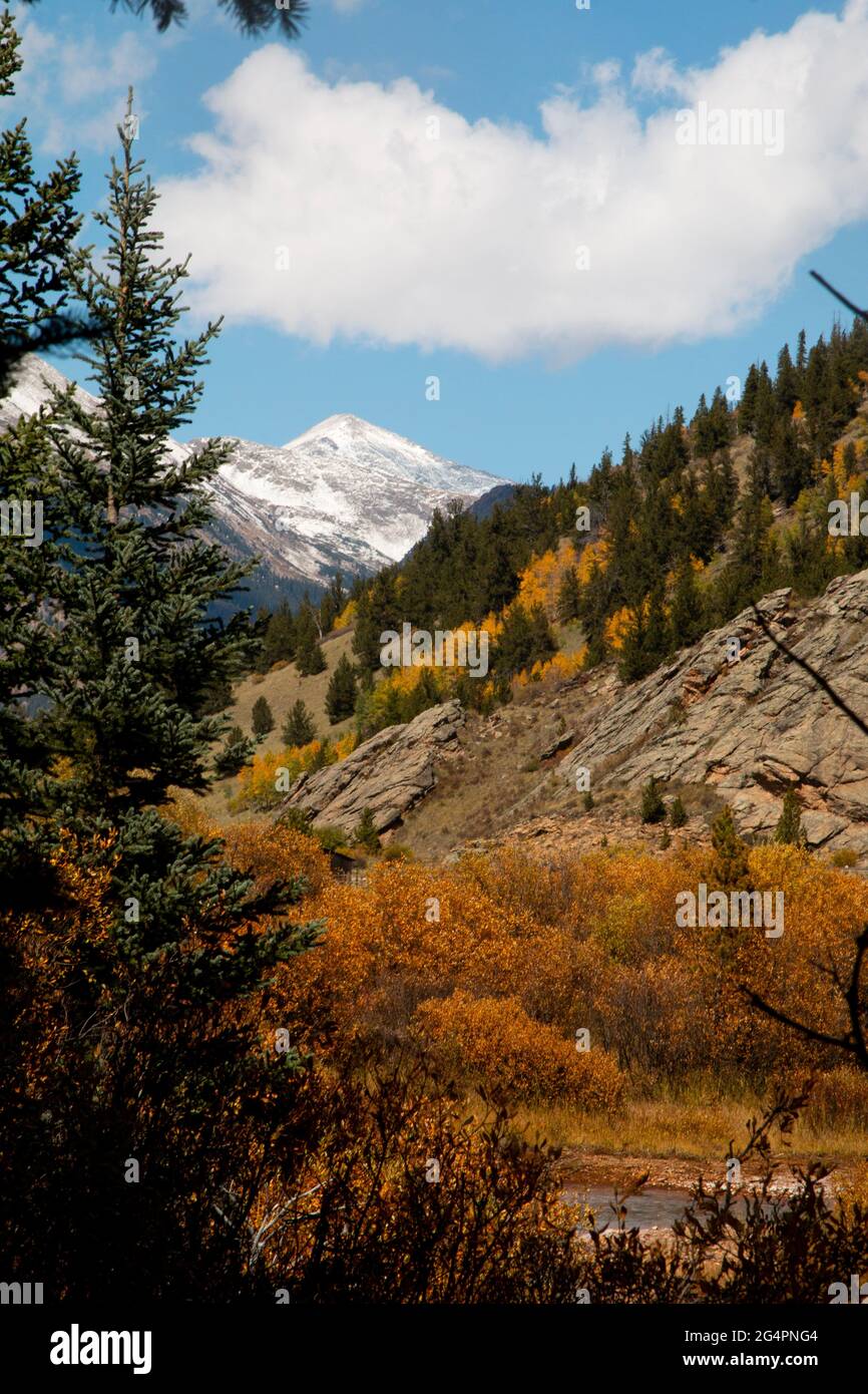 Herbstfarben und früher Schneefall im Erholungsgebiet Guanella Pass im Pike National Forest in Colorado. Stockfoto