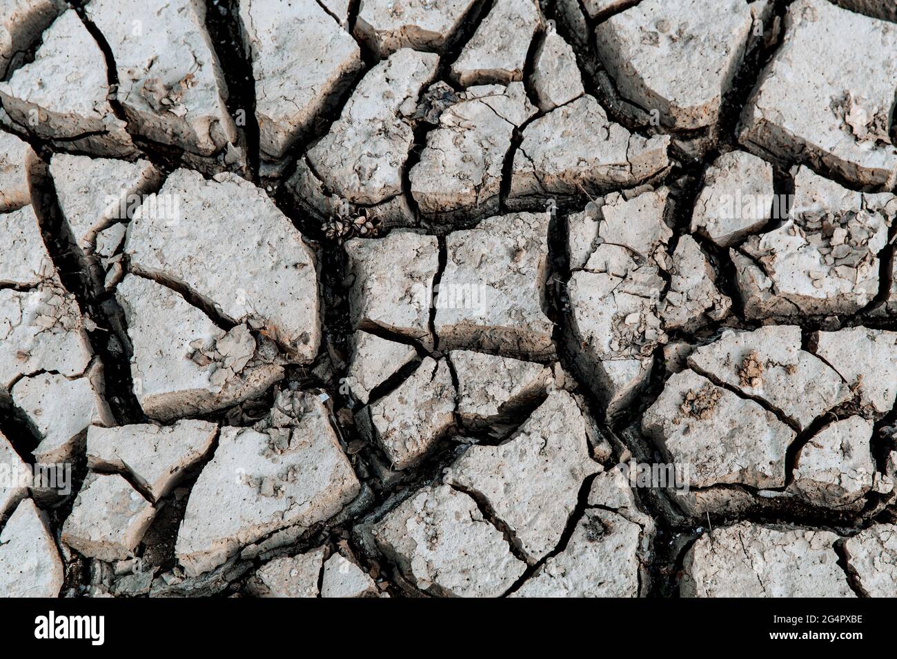 Trockener und rissiger Boden. Konzept der globalen Erwärmung . Stockfoto