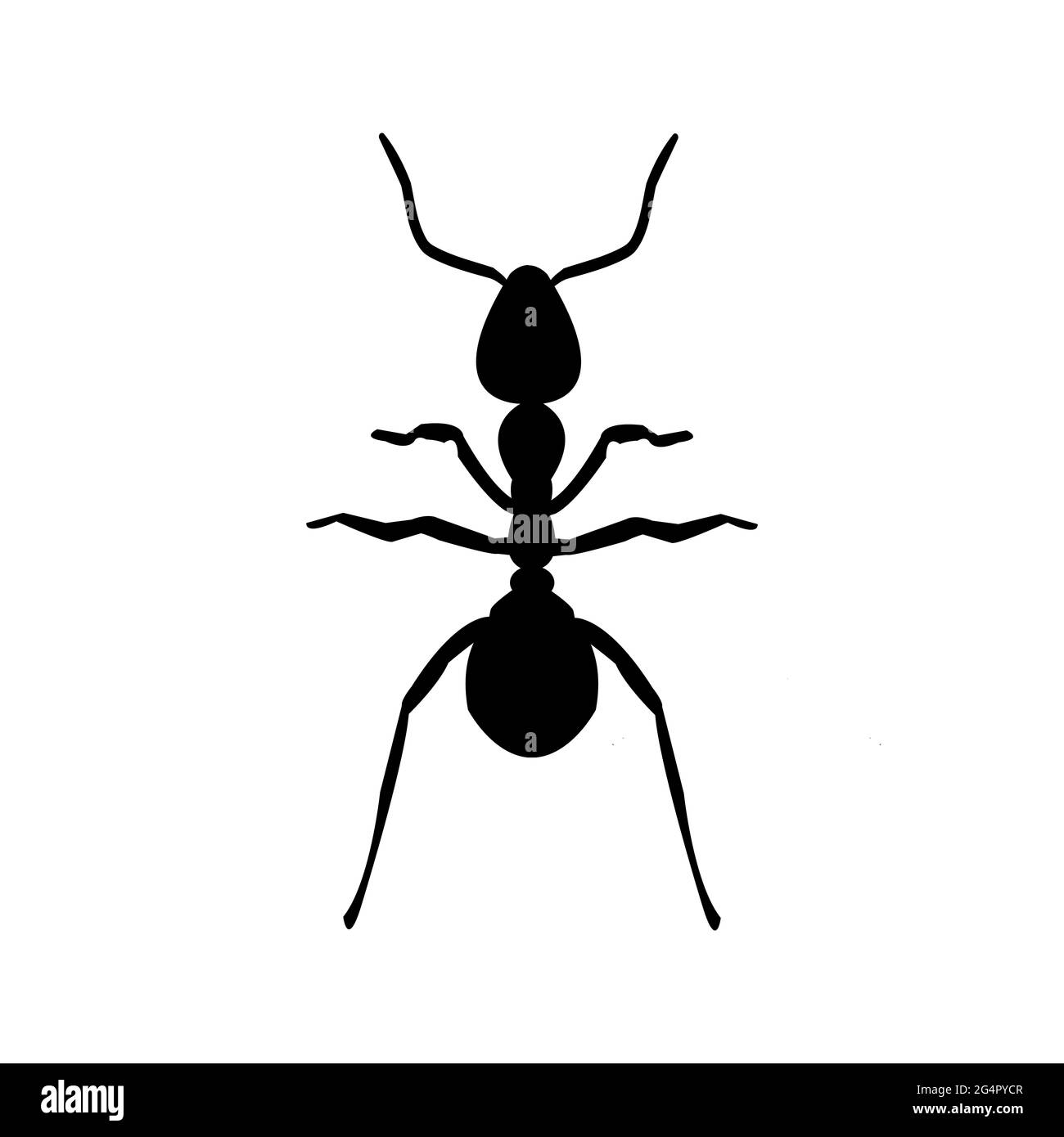 Eine Ameise silhouttes Stockfoto