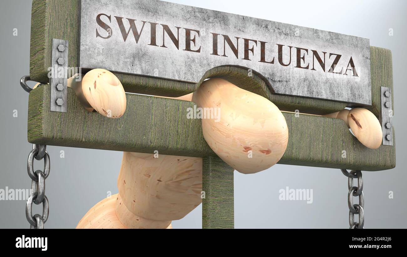 Schweinegrippe, die das menschliche Leben beeinflusst und zerstört - symbolisiert durch eine Figur am Pranger, um die Wirkung der Schweinegrippe zu zeigen und wie schlimm, limitierend und nega Stockfoto