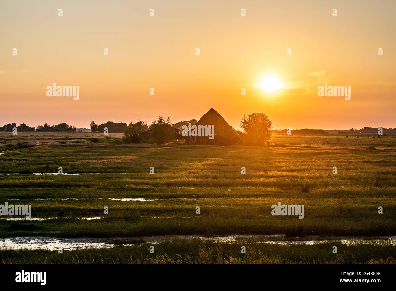 Sonnenuntergang über einem Grasfeld in Uitdam, Niederlande Stockfoto