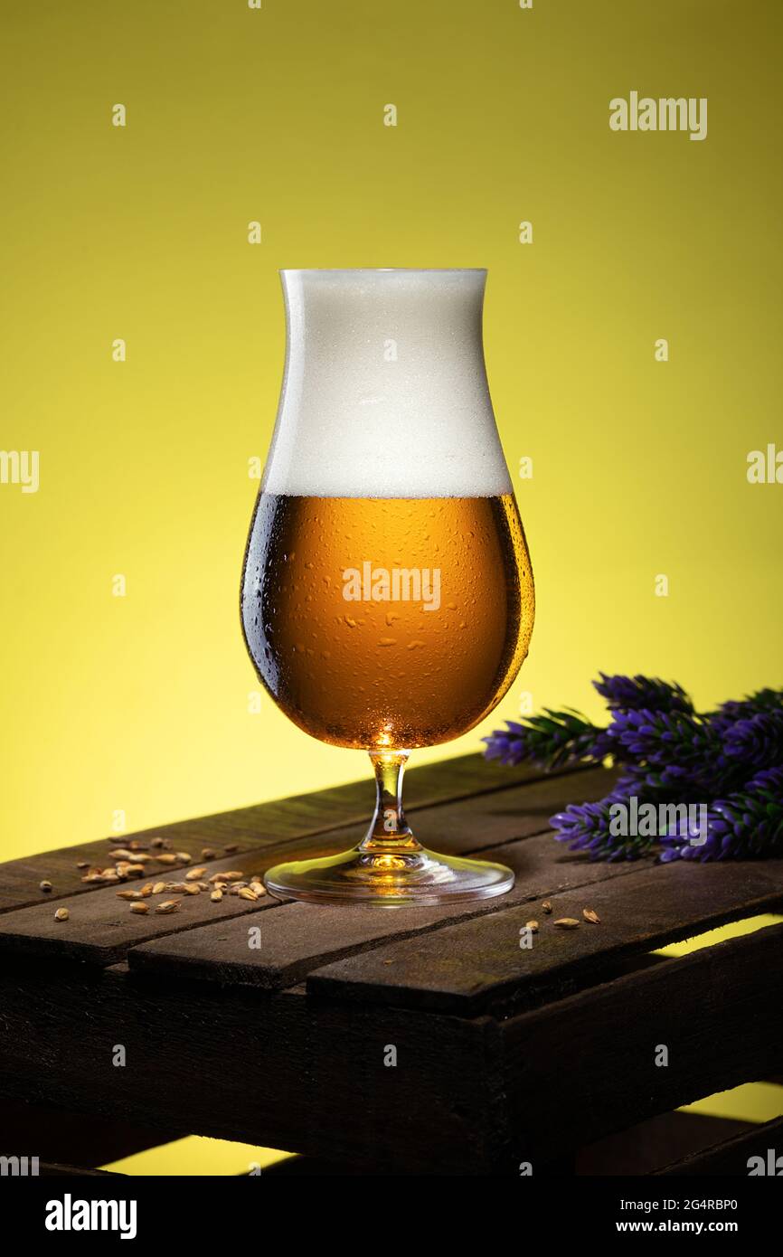 Ein Glas schäumendes Bier mit Gerstenmalz und Hopfen auf einem alten Holzbrett Stockfoto