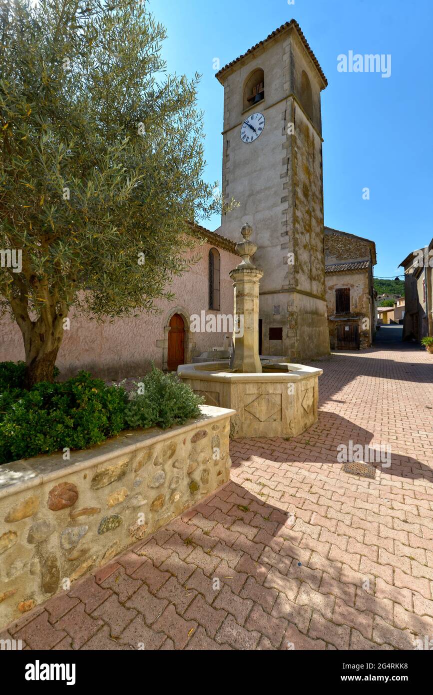Kirche Saint Pierre und Olivenbaum in Le Castellet, einer Gemeinde im Département Alpes-de-Haute-Provence im Südosten Frankreichs Stockfoto