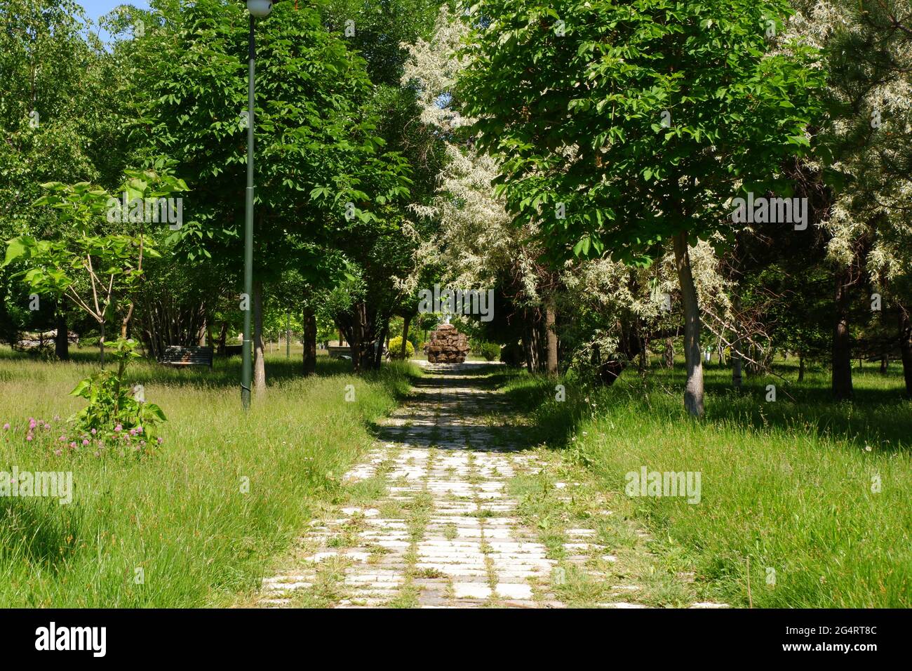 Kopfsteinpflaster-Wanderweg im Hasan Onal Park Eskisehir Türkei Stockfoto
