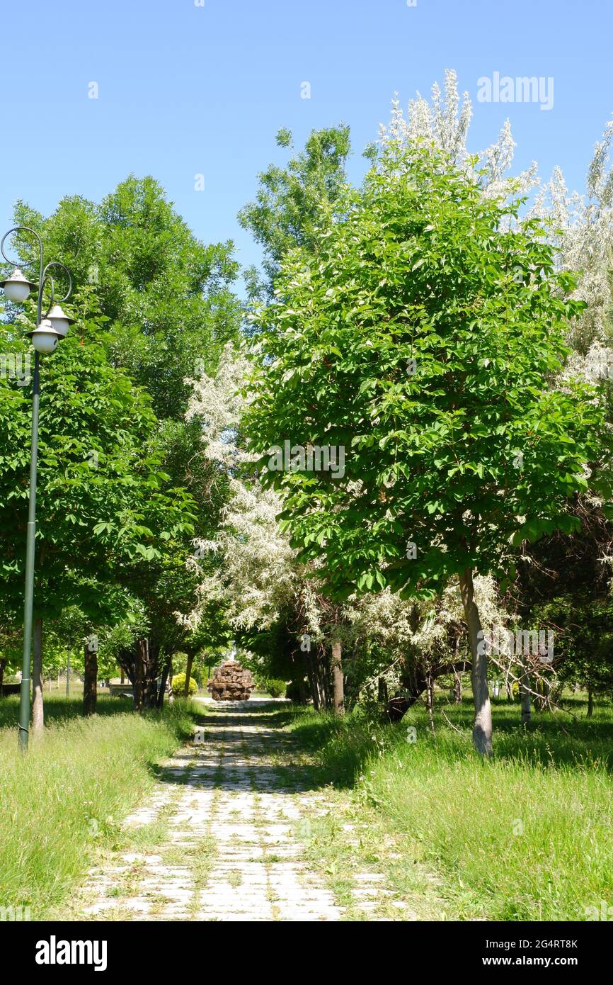 Kopfsteinpflaster-Wanderweg im Hasan Onal Park Eskisehir Türkei Stockfoto