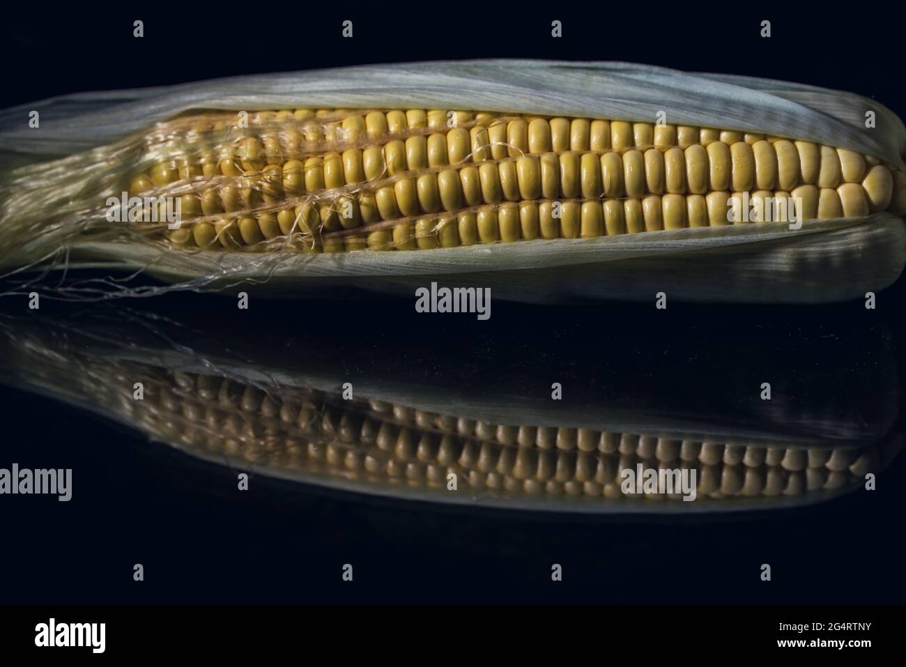 Ein Mais mit Maiskolben auf einem schwarzen Glastisch, Nahaufnahme, Stillleben-Fotografie, isoliert Stockfoto