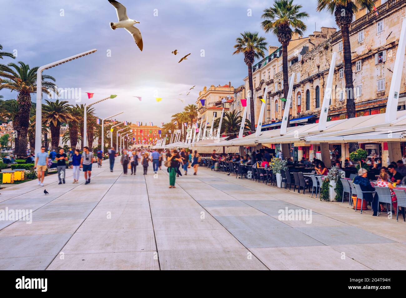 Split, Kroatien (Region Dalmatien). UNESCO-Weltkulturerbe. Anzeigen von Split Stadt mit fliegende Möwe über Promenade. Split Panoramaaussicht Altstadt Stockfoto