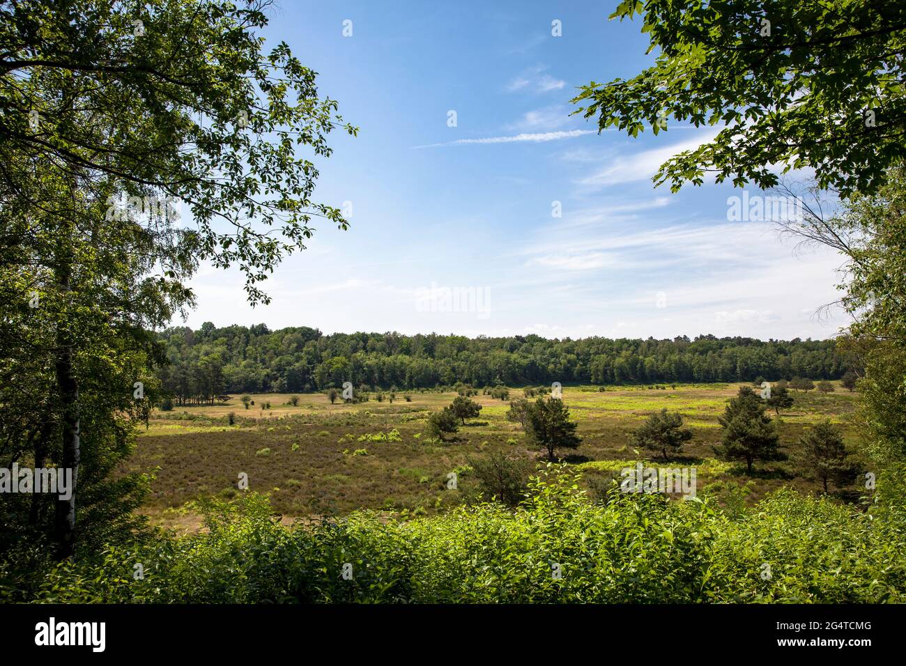 Die Pionierbecken 2 im Königswald bei Köln, Nordrhein-Westfalen, Deutschland. Die Pionierbecken sind ehemalige Kiesgruben. Pio Stockfoto