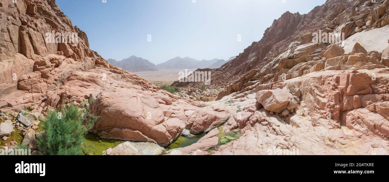 Panoramablick über den Süßwasserpool im Wüstenbergschlucht mit Blick auf das trockene wadi-Flusstal Stockfoto