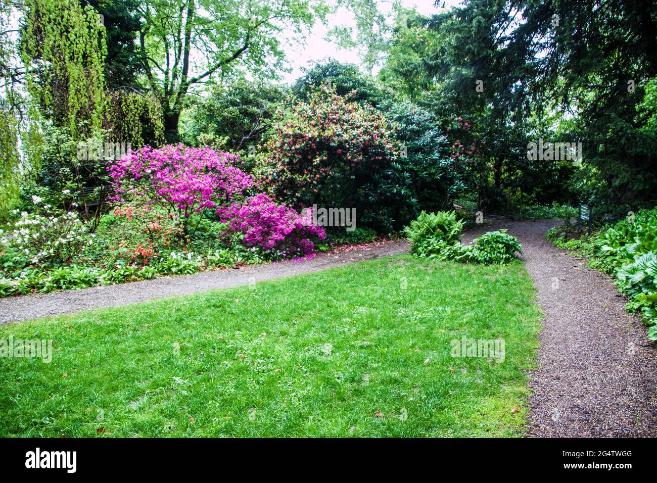 56+ Botanischer Garten Sächsische Schweiz, Alles ist sehr gut