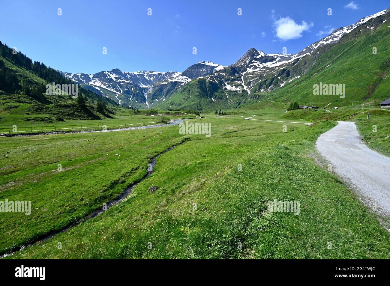 Okosystem Stockfotos und -bilder Kaufen - Alamy