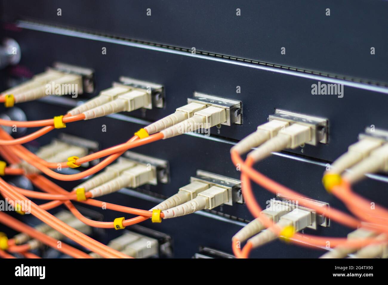 Kabelnetzwerk, Glasfaserkabel verbinden mit Switch-Port im Serverraum, Konzept Netzwerkmanagement Stockfoto