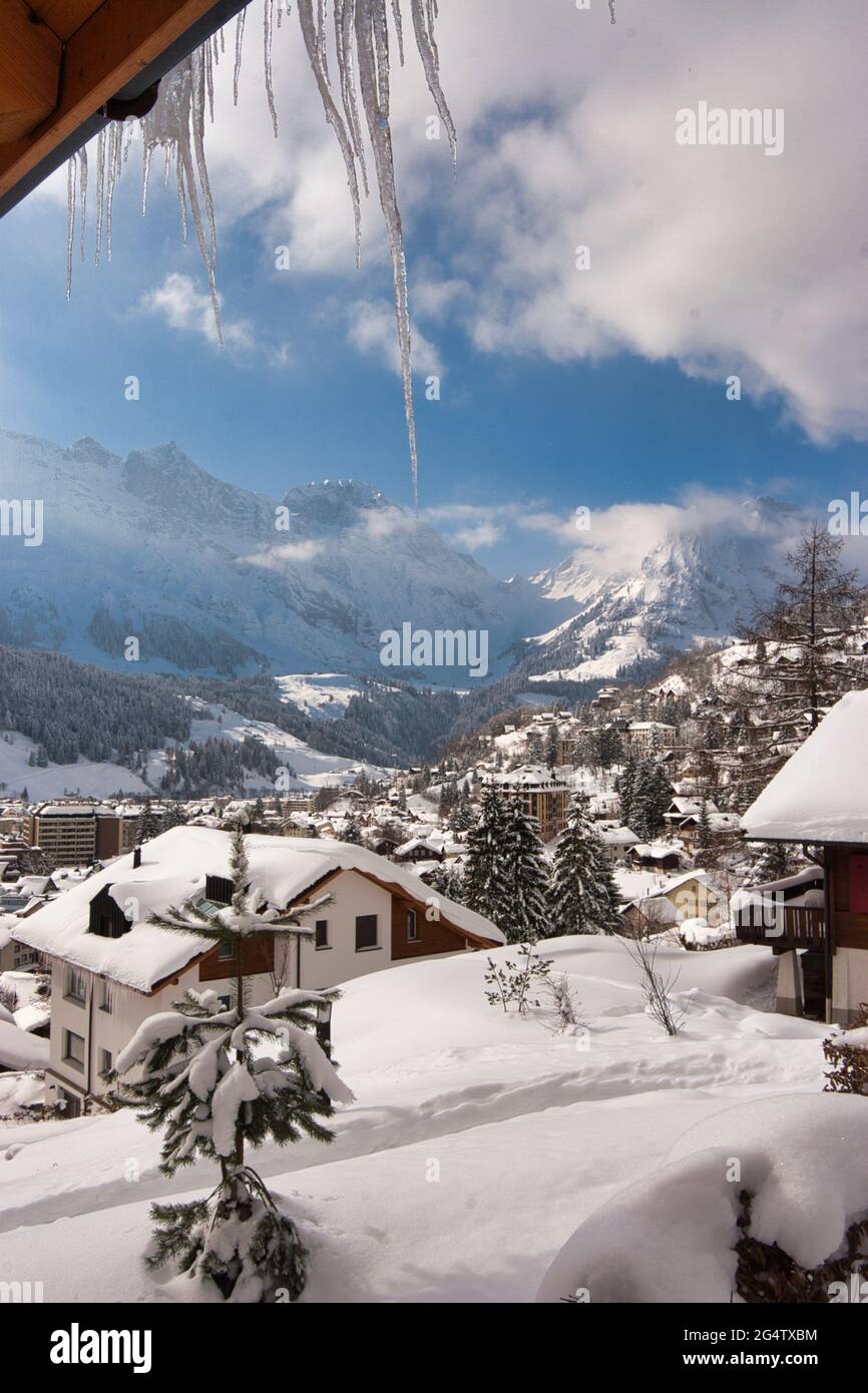 Eine Winterszene aus Häusern, Chalets und Dächern, die von einer dicken Schneeschicht bedeckt sind, auch Bäume in Engelberg, Kanton Obwalden, Zentralschweiz Stockfoto