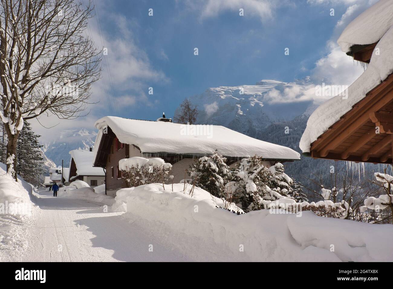 Eine Winterszene aus Häusern, Chalets und Dächern, die von einer dicken Schneeschicht bedeckt sind, auch Bäume in Engelberg, Kanton Obwalden, Zentralschweiz Stockfoto