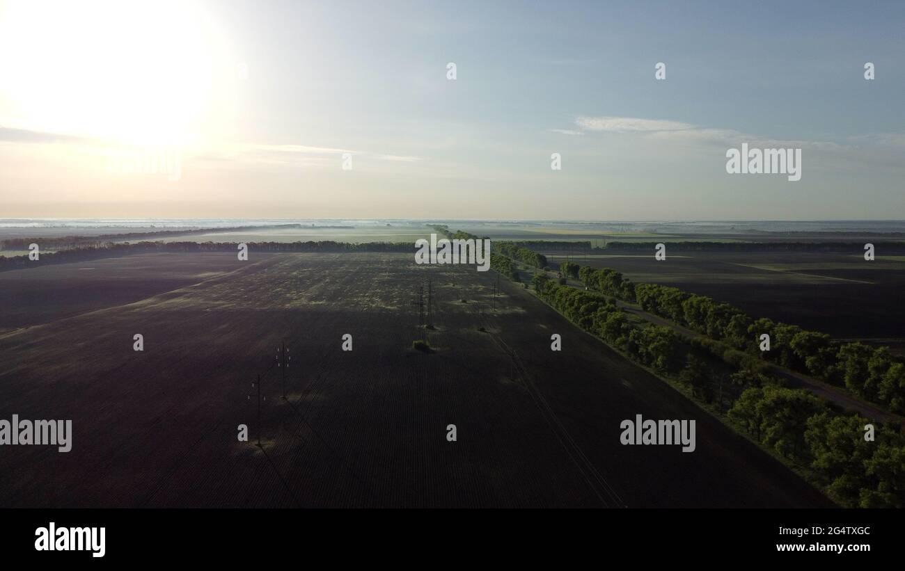 Felder im frühen Frühling Sommer Morgen aus großer Höhe. Stockfoto