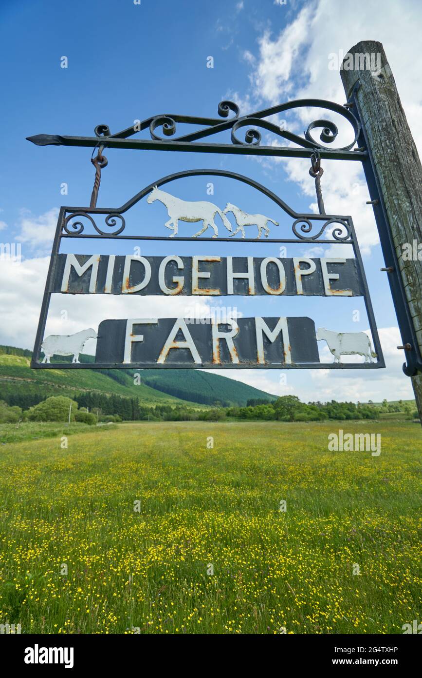 Schild für Midgehope Farm in den schottischen Grenzen. Auf der B 709. Stockfoto