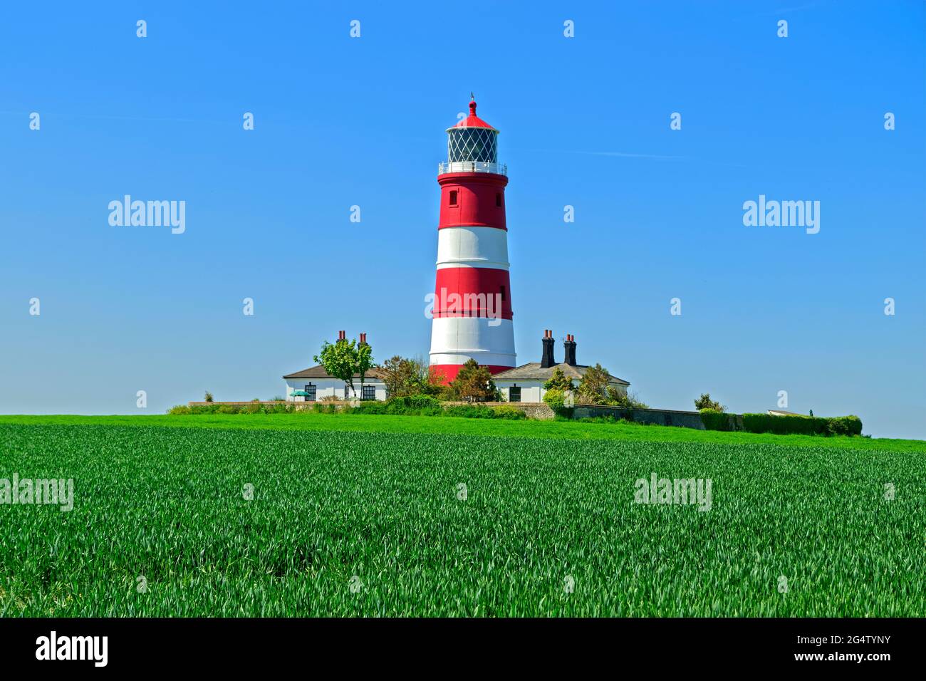 Der Leuchtturm von Happisburgh in Norfolk, England, Großbritannien. Stockfoto