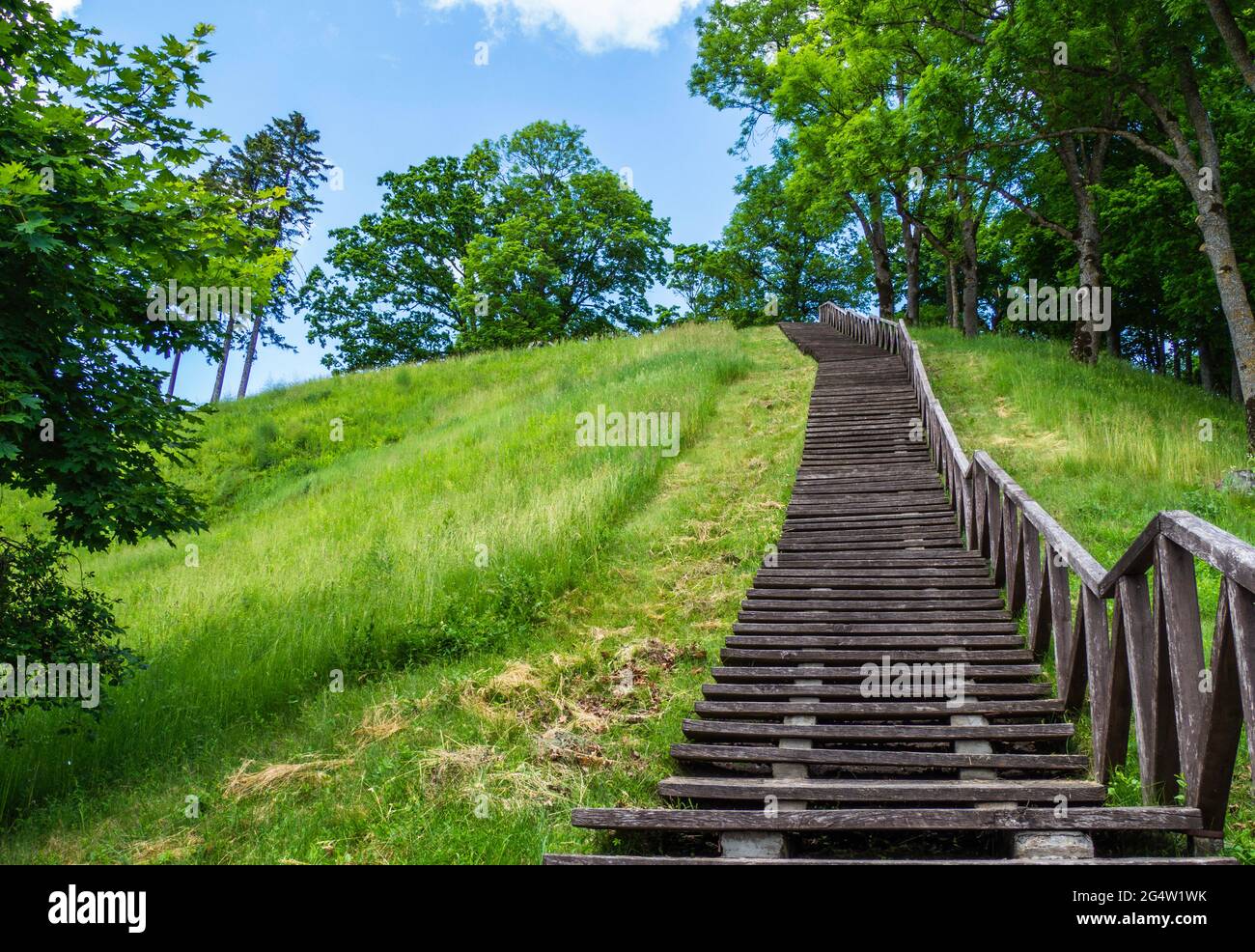 Holztreppe im Wald, die zum Hügel führt Stockfoto