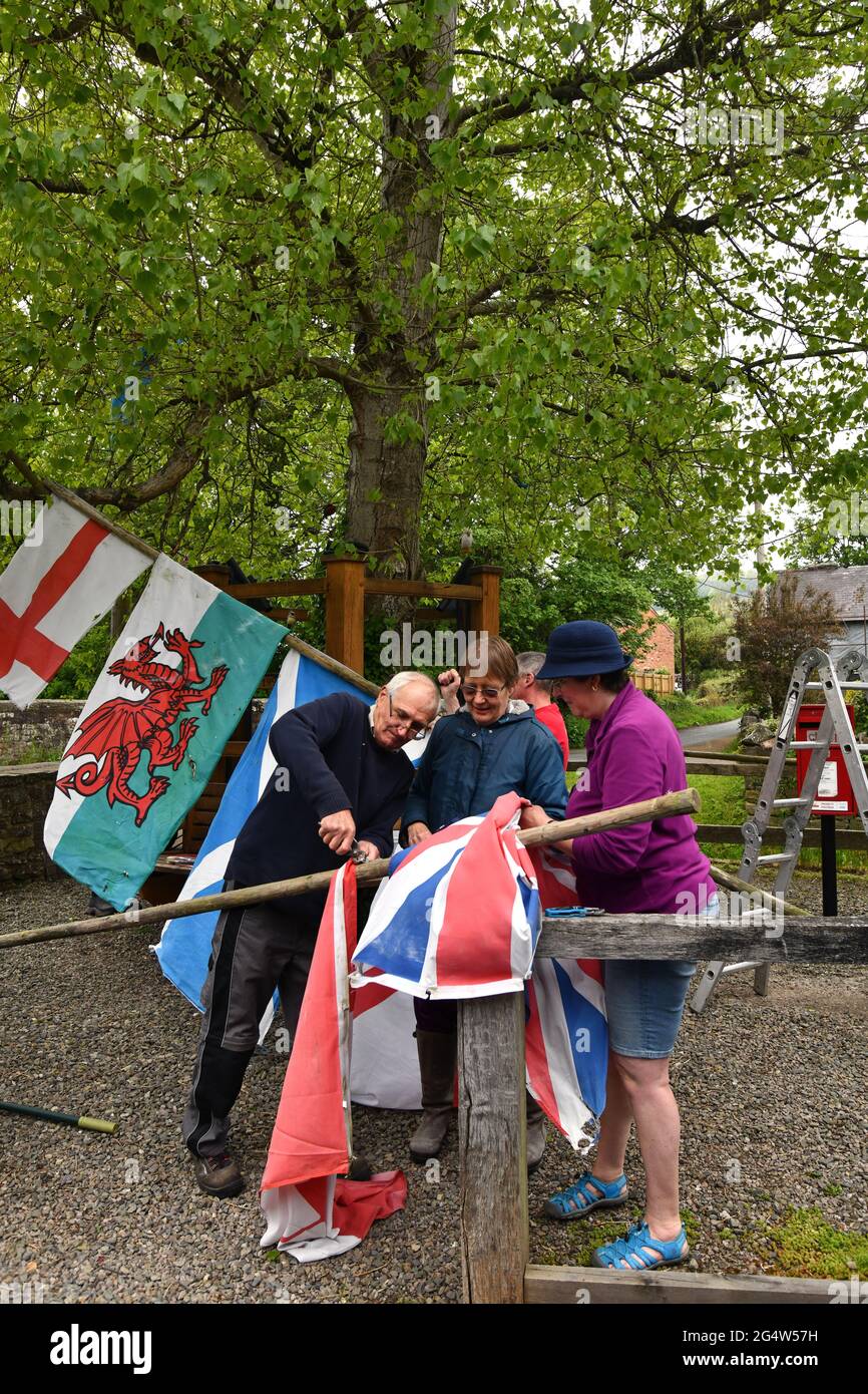 Bewohner des südlichen Shropshire-Dorfes Aston auf Clun bereiten den berühmten schwarzen Pappelbaum für den Arbor Day vor. Diese Pappel, bekannt als der Arbor Tree b Stockfoto