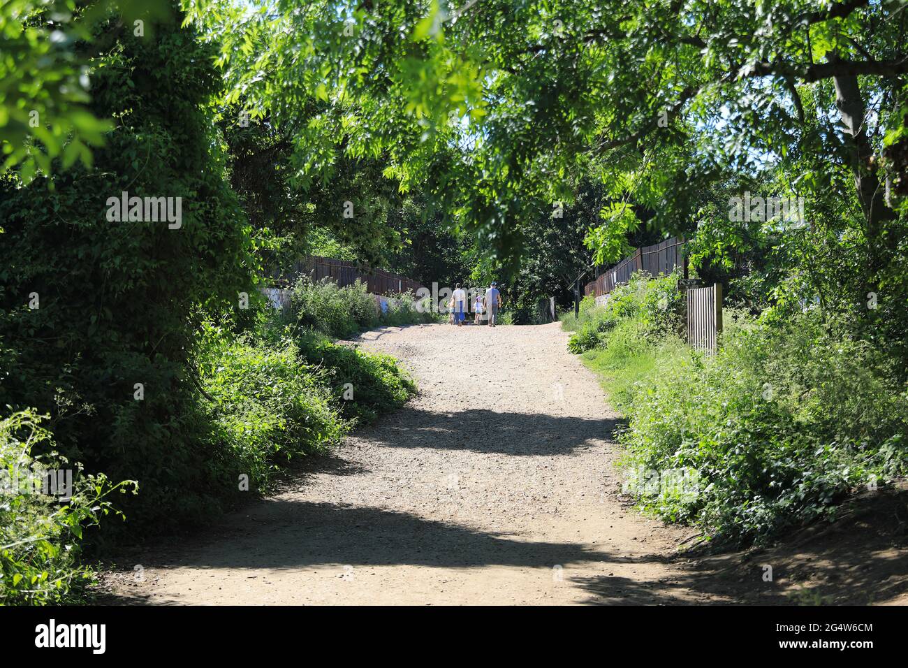 Parkland Walk, ein linearer Park, früher eine Eisenbahnlinie, der vom Finsbury Park nach Muswell Hill und heute ein Naturschutzgebiet im Norden Londons, Großbritannien, führt Stockfoto