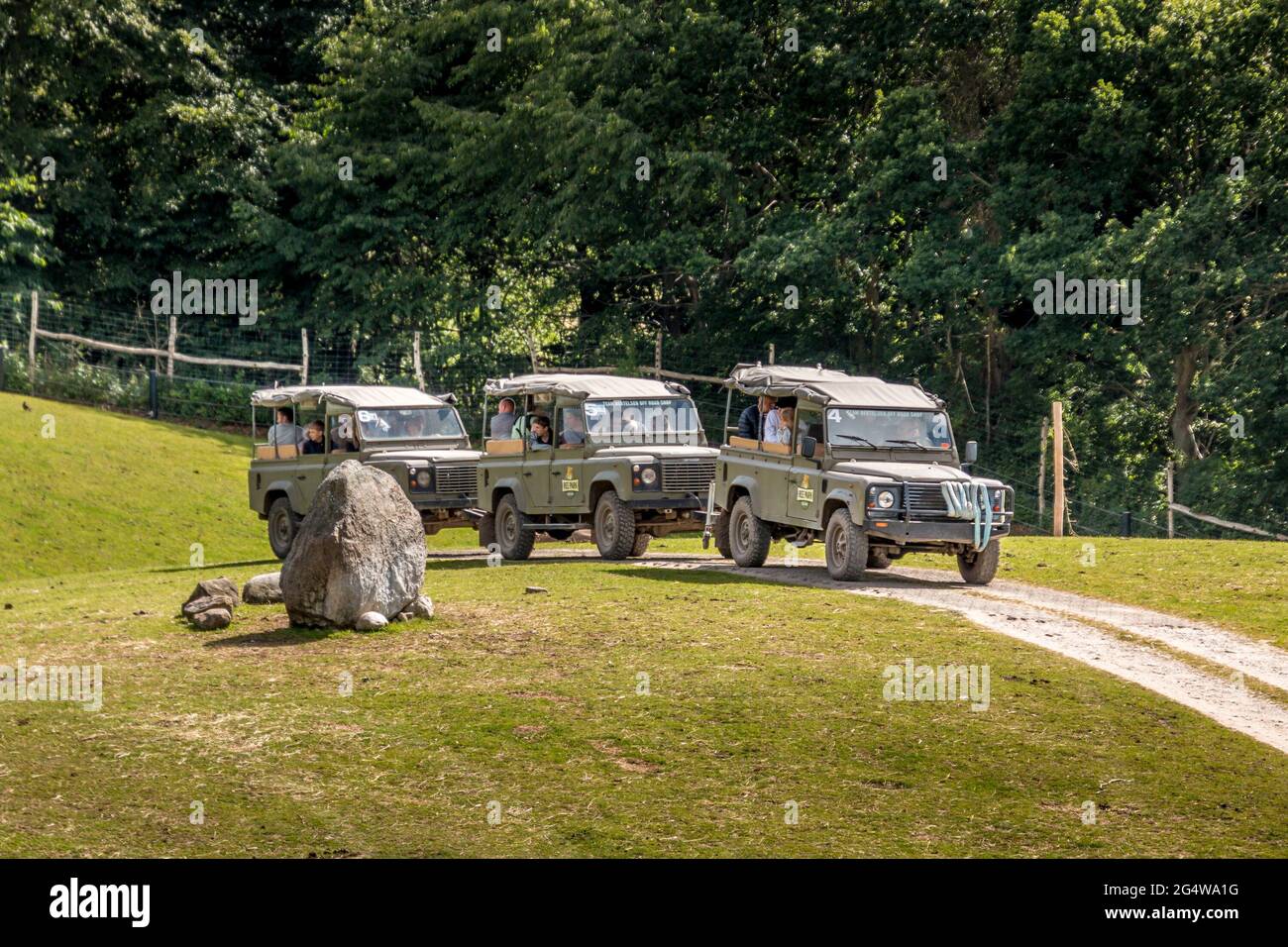 Ebeltoft, Dänemark - 21. Juli 2020: Drei Jeeps auf Safari zwischen den Tieren Stockfoto