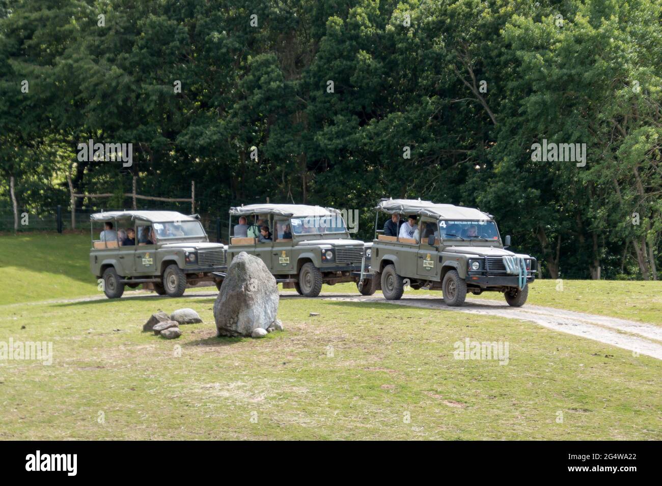 Ebeltoft, Dänemark - 21. Juli 2020: Drei Jeeps auf Safari zwischen den Tieren Stockfoto