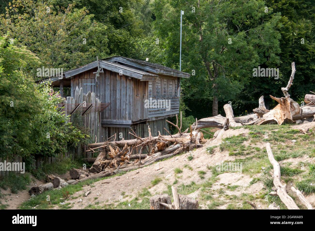 Ebeltoft, Dänemark - 21. Juli 2020: Alte Holzhütte, umgeben von zerrissenden Bäumen Stockfoto