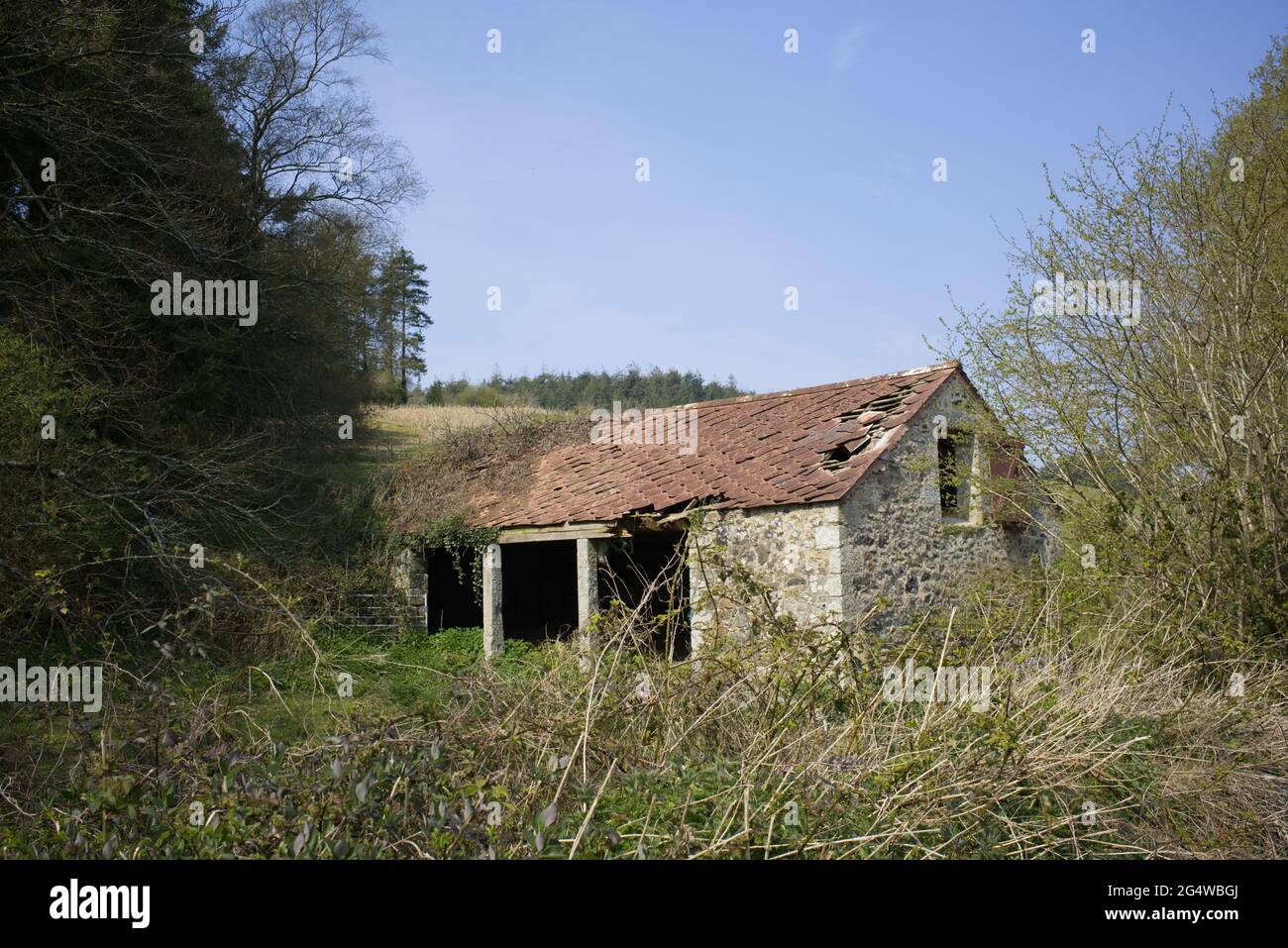 Eine abondened Scheune mit alten Stil Cornish Architektur einschließlich Granitsäulen. Von der öffentlichen Straße in der Nähe von Lostwithiel. Stockfoto