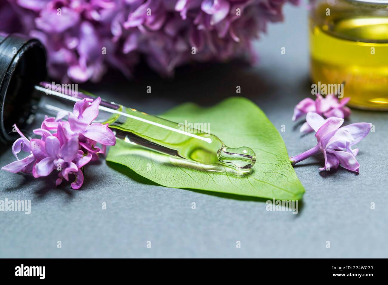 Spa-Öl mit Fliederblüten. Pipettieren Sie mit Aromaöl und Fliederblüten, Beauty-, Spa- und Hautpflegeprodukten Stockfoto