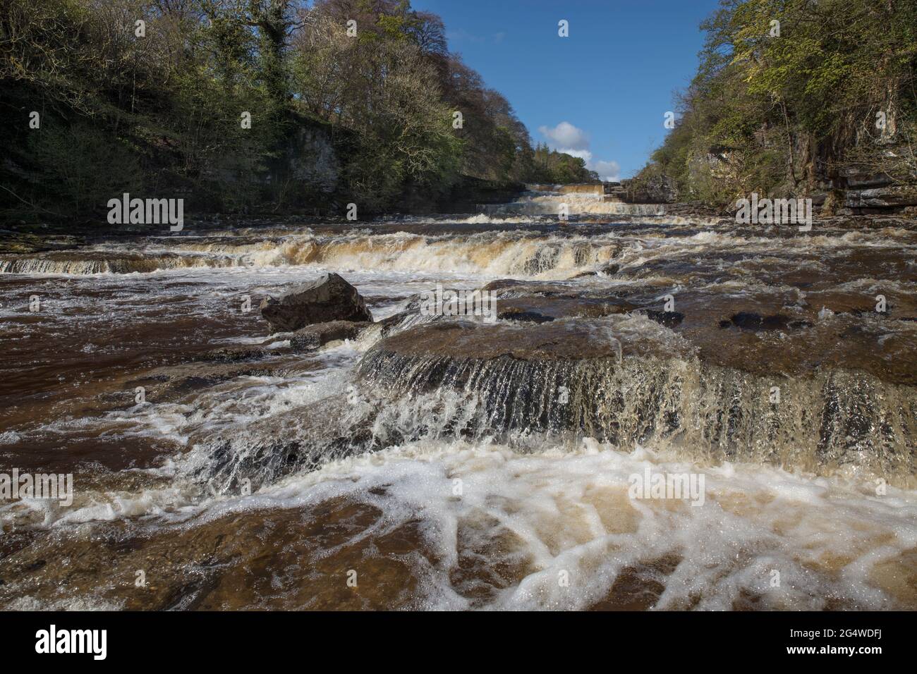 Spektakuläre Aysgarth Falls in den wunderschönen Yorkshire Dales Stockfoto