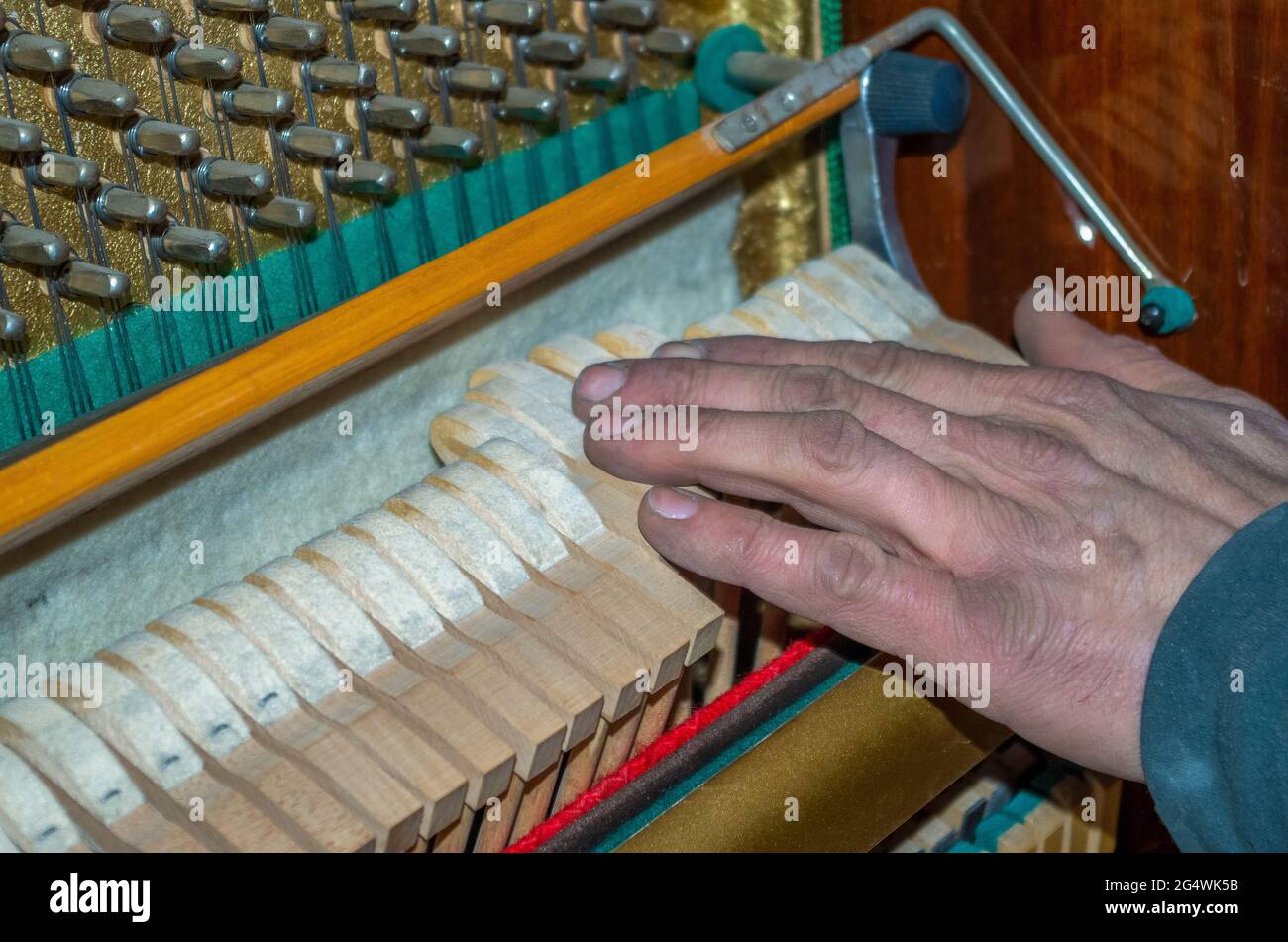 Klavierreparatur - Arbeit in Bearbeitung durch einen Handwerker Stockfoto