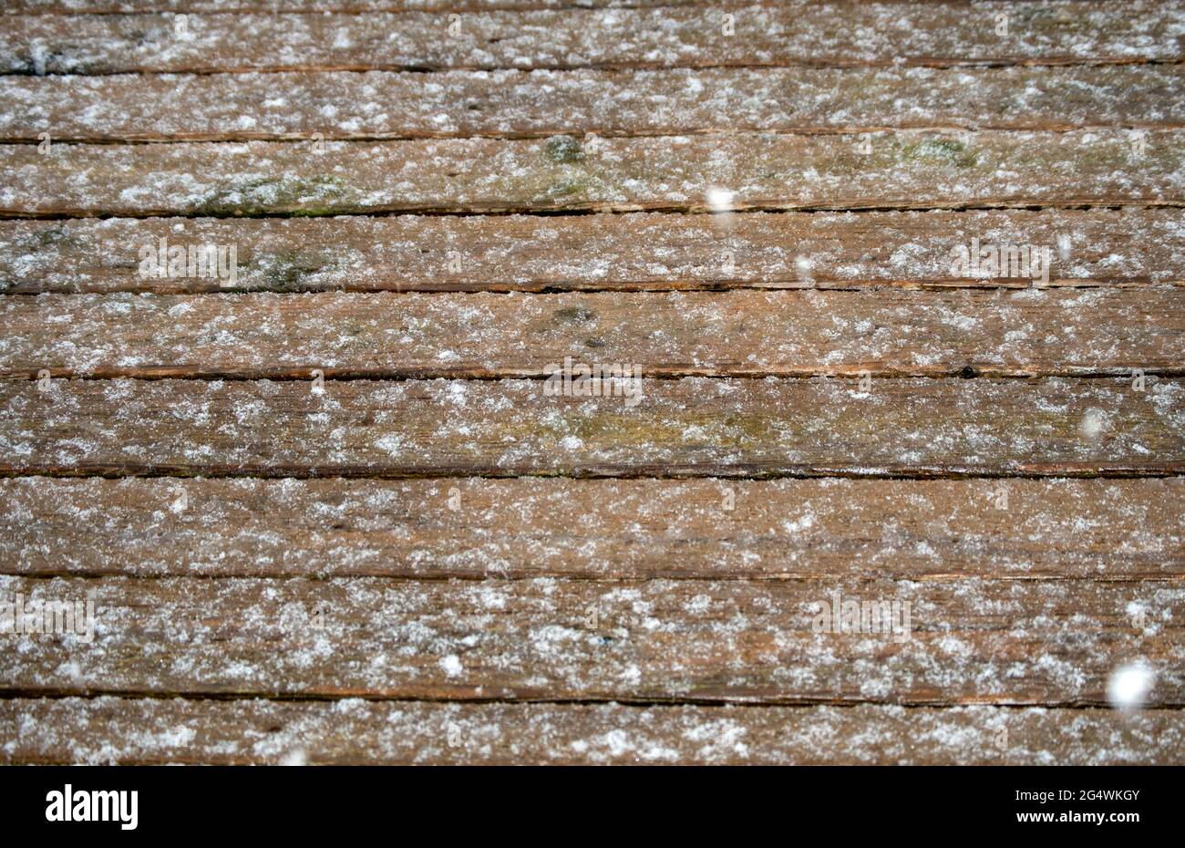 Fallende Schneeflocken machen an einem Wintertag auf dem Hinterhof-Deck im Südwesten von Missouri ein hübsches Spritzmuster. Der Schnee fiel immer noch unter diesem ph-wert Stockfoto