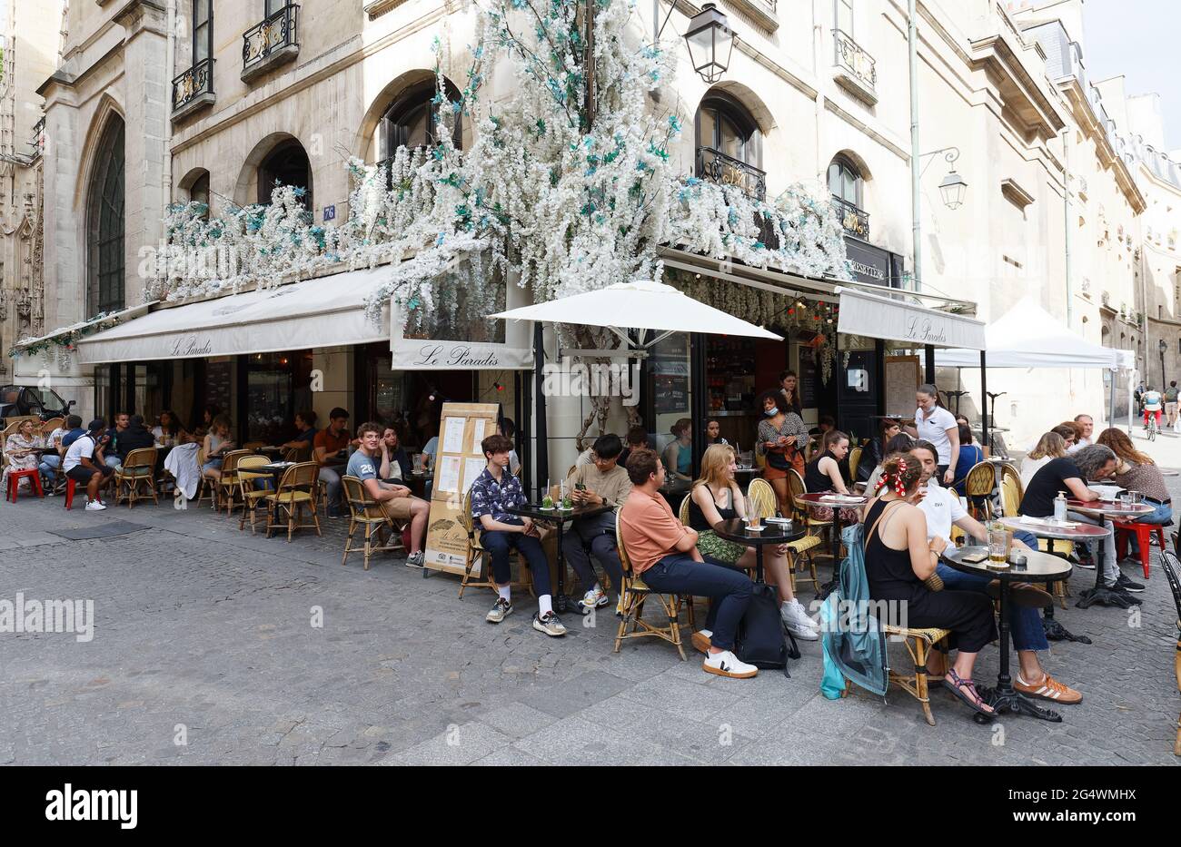 Das Café Le Paradis ist ein traditionelles französisches Café im Pariser Viertel Les Halles. Stockfoto