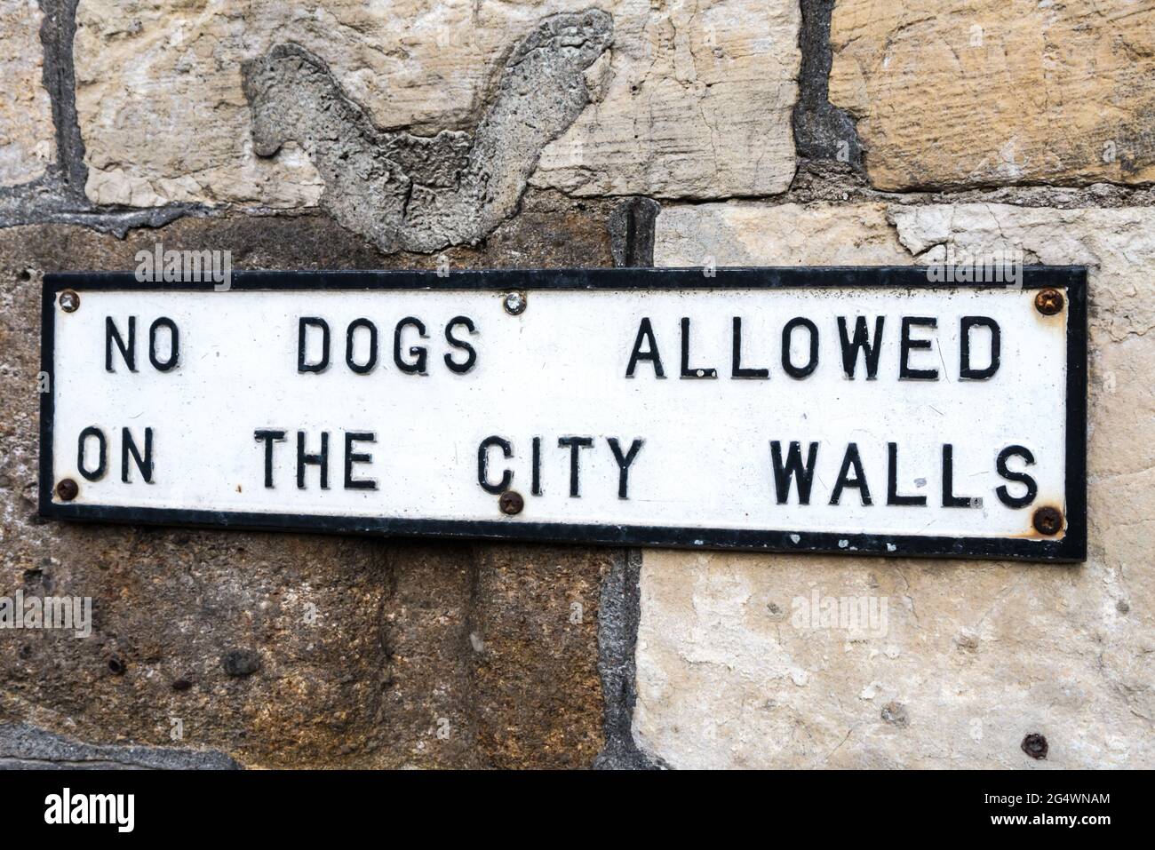 York City Walls, Schild „No Dogs Alwed Sign“ Stockfoto